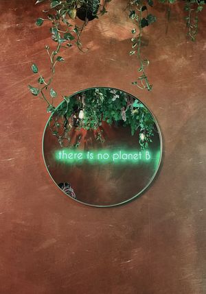   at Happy Food and Health  in Rotterdam