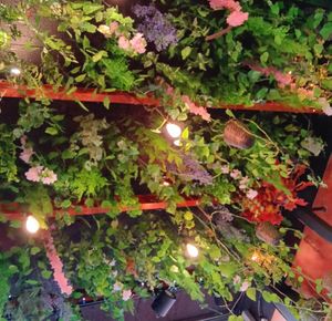  at Happy Food and Health  in Rotterdam