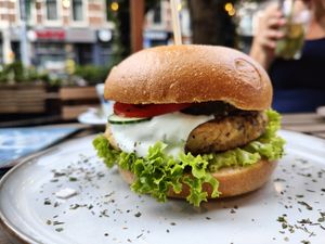 Save the ocean burger protein packed without whaling at Happy Food and Health  in Rotterdam