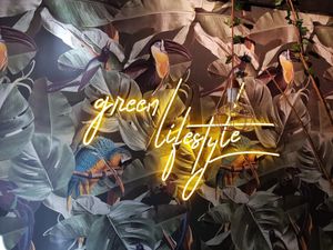 Green lifestyle with sunlight touch 😍 at Happy Food and Health  in Rotterdam