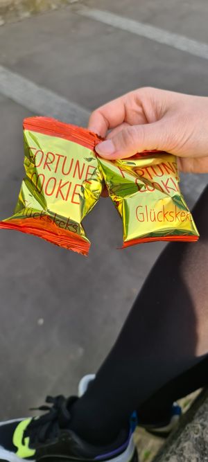 Free fortune cookies (with crappy "fortunes") 😅 at Chay Viet Tadilen Restaurant in Wurzburg