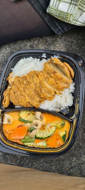 Vegan duck with red curry and rice at Chay Viet Tadilen Restaurant in Wurzburg