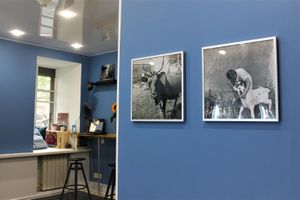 #llamasveganshop #veganshop #veganfood #saintpetersburg at Llamas Vegan Shop in St Petersburg