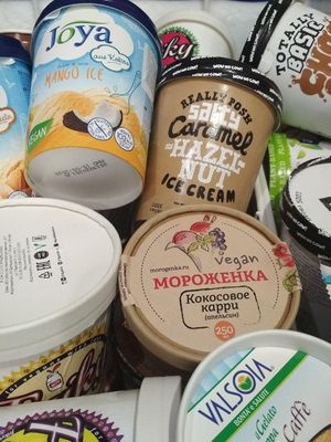 Vegan Icecream at Llamas Vegan Shop in St Petersburg