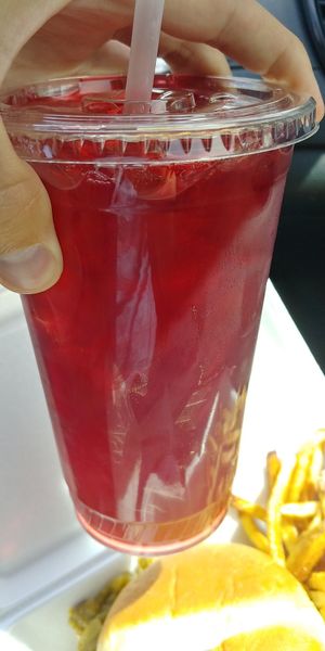 Berry Hibiscus: good, not great, needed to be sweetened at Chef Toddzilla in Roswell