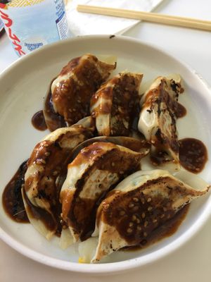 Gyoza at Susuru Ramen & Gyoza in Newcastle