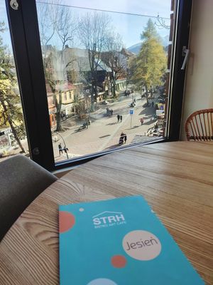 The view ❤️ at Strh Cafe & Gallery in Zakopane