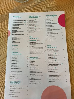 Menu Page 2 at Strh Cafe & Gallery in Zakopane