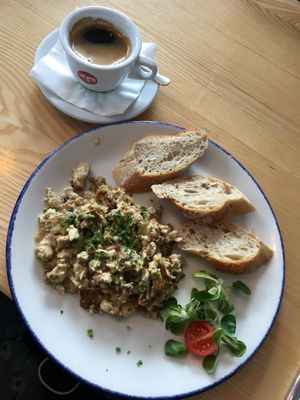 Tofucznica 😊 at Strh Cafe & Gallery in Zakopane