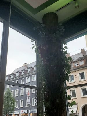  at Veggie Liebe in Freiburg