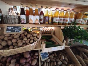 Legumes at Macaroca in Porto