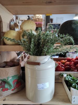 Alecrim at Macaroca in Porto