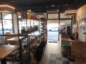  at Macaroca in Porto