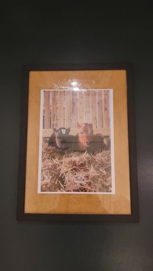 Proceeds go to Surge Sanctuary at Unity Diner in East London