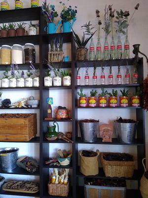  at The Tamale Store in Phoenix