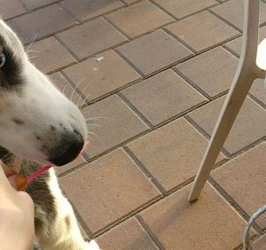 LEGENDA Afula at Leggenda in Afula