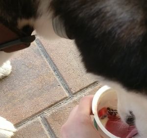 LEGENDA Afula at Leggenda in Afula