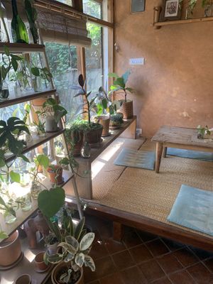 Chill vibes :).  at Ananda Tree House in Kathmandu