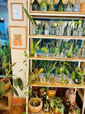 Cute interior 🪴  at Ananda Tree House in Kathmandu