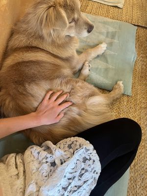 Puna giving her blessing 🥹 (+ nice with low floor tables and cushions 💕)  at Ananda Tree House in Kathmandu