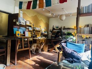 The store and the dog  at Ananda Tree House in Kathmandu
