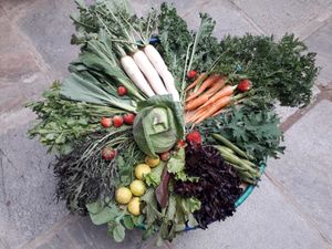 More Vegetables  at Ananda Tree House in Kathmandu
