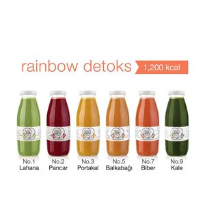 1 Day Detox  at Raw Love You in Bodrum