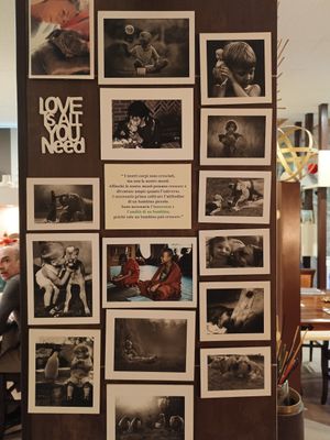  at Shakti Food in Brescia