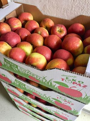 organic apples at Bio Trgovina Dobra Misel in Lesce