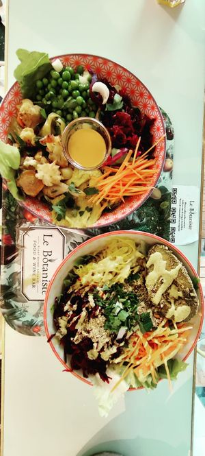 Botanical salad and all veggie salad at Le Botaniste - Schuman in Brussels