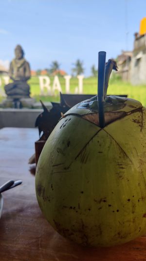 Fresh Coconut with view of rice fields at Pissari Bali Cafe in Ubud