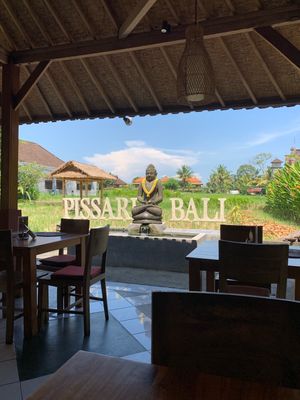 Rice field view  at Pissari Bali Cafe in Ubud