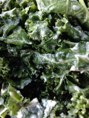 Raw kale side at Senbeb Cafe in Washington