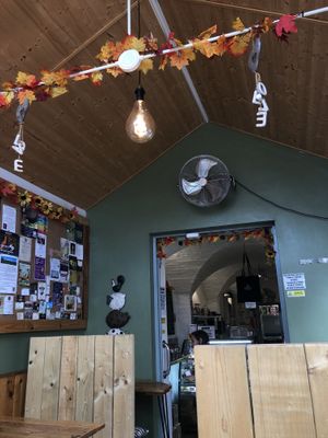   at Pyramid Vegan Cafe & Bakery in Glastonbury