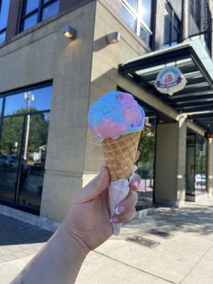 Planted based unicorn ice creamm  at Rocky Point Ice Cream in Port Moody