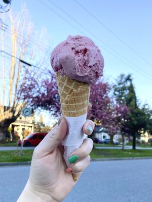 Strawberry milk (oatmilk based) my absolute favourite   at Rocky Point Ice Cream in Port Moody