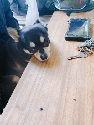 I'm hungry at Poe Poe in Yokohama