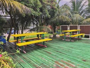 Love the tropical outdoor eating area! at Lion's Share Cafe in Bridgetown
