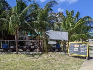 Lion's Share is located on a grassy lot across the road from a KFC. at Lion's Share Cafe in Bridgetown