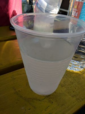 Coconut water at Lion's Share Cafe in Bridgetown