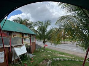Lion's Share view at Lion's Share Cafe in Bridgetown