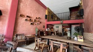   at Kunda Vegan Vegetarian in Chiang Rai