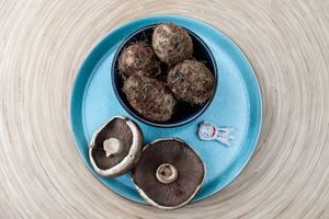 Taro Root and King Oyster Mushroom.  at Hot Pot Republic in Copenhagen