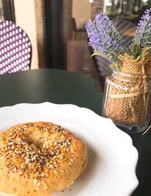 Everything bagel with vegan cream cheese 🥯  at Epiphany in Naples