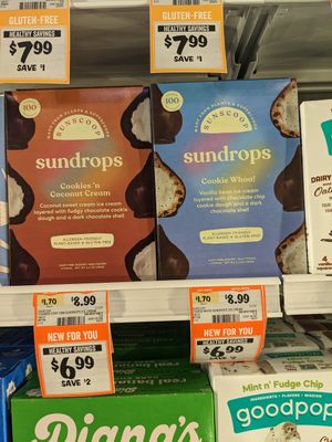 Vegan ice cream treats at Sprouts Farmers Market in Reno