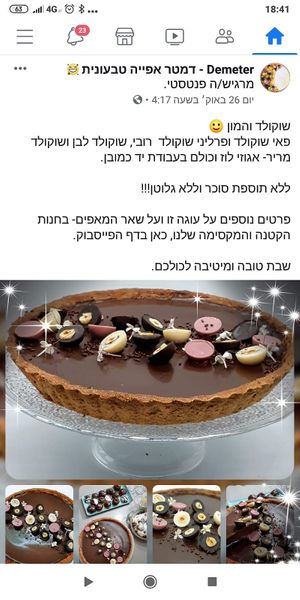 Chocolate pie at Demeter Vegan Bakery in Kfar Saba
