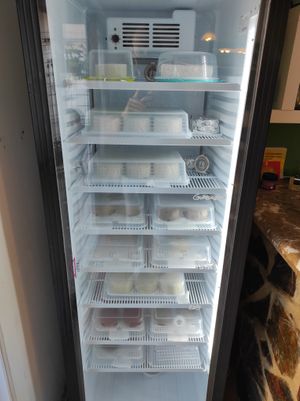 They fridge with the cheeses aging.. 😋 at Bahía Verde in Tenerife