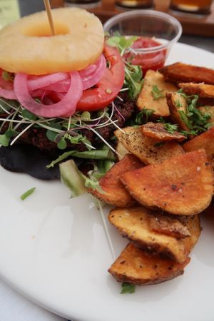 Veggie burger made vegan with plain fries at Backslope Brewing in Columbia Falls