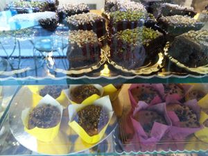 Sacher at Mindol in Senigallia