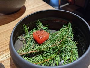 Watermelon thing - looks like sushi, tasted amazing. I did not eat the pine needles (I'm not a moomin) at Culina Hortus in Lyon